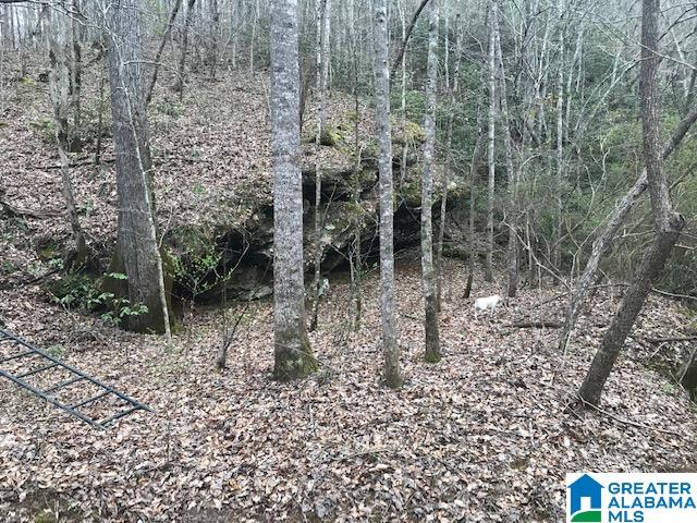 5300 Idaho Road, Unit 200 Talladega, AL 35160 - Photo 8 of 14