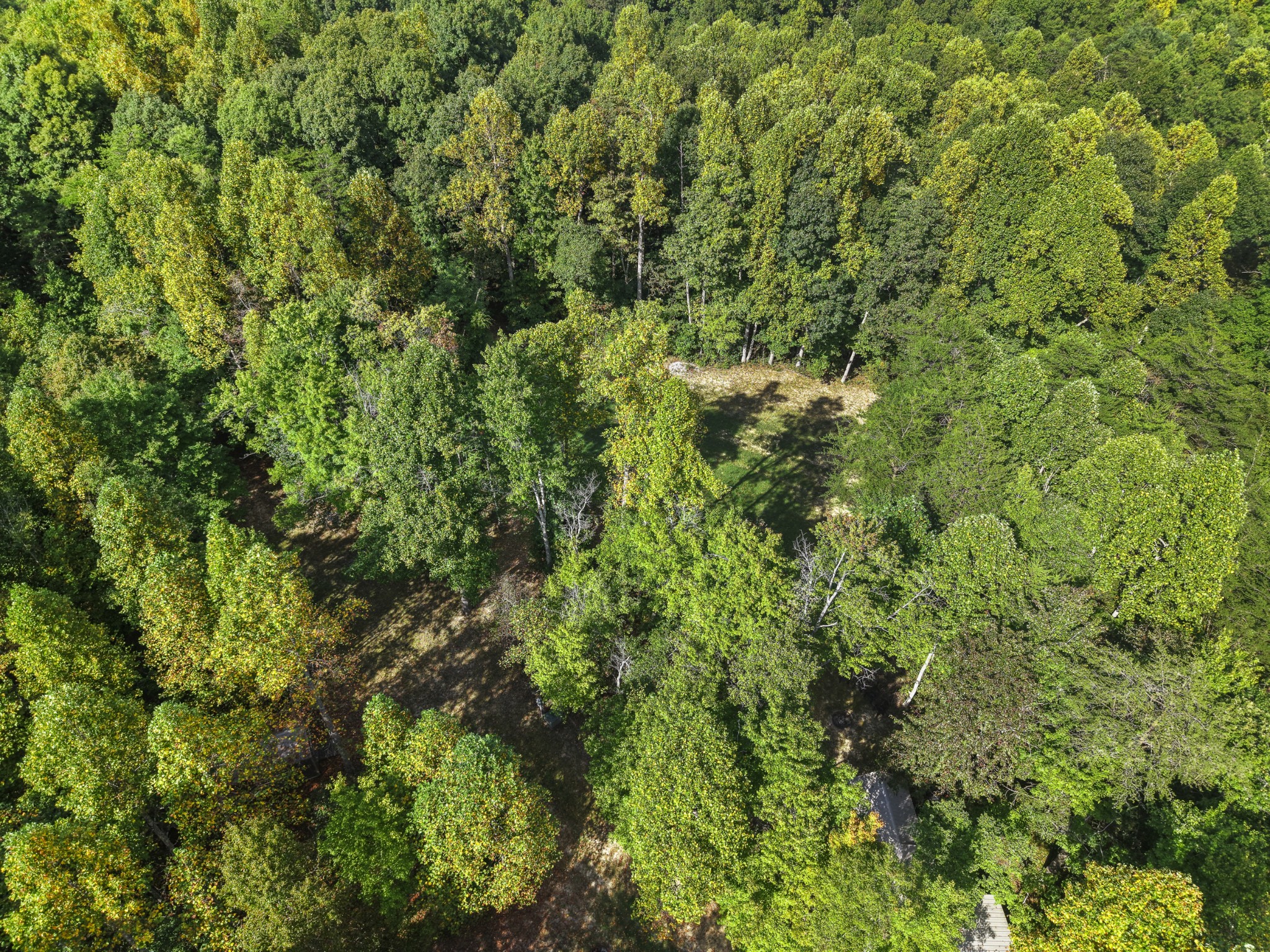 625 Meadows Road Sparta, TN 38583 - Photo 64 of 87 Gallery Image 64