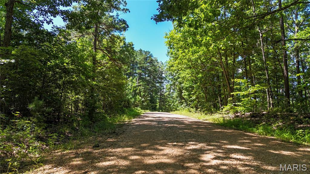 Tbd Tbd Antler Ridge Bunker, MO 63629 - Photo 21 of 26