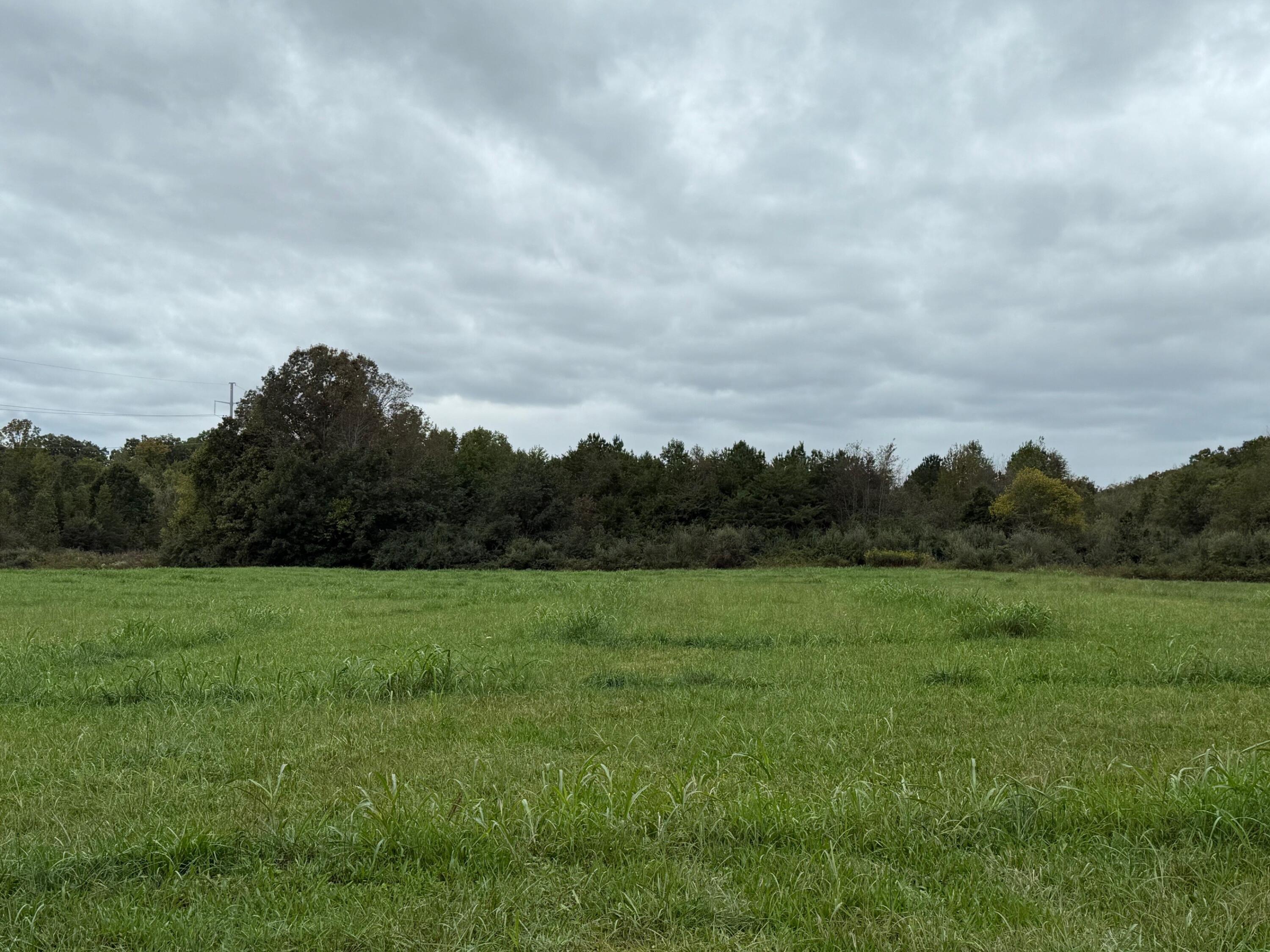 5 Fagin Road, Unit 5 Madisonville, TN 37354 - Photo 12 of 33 12