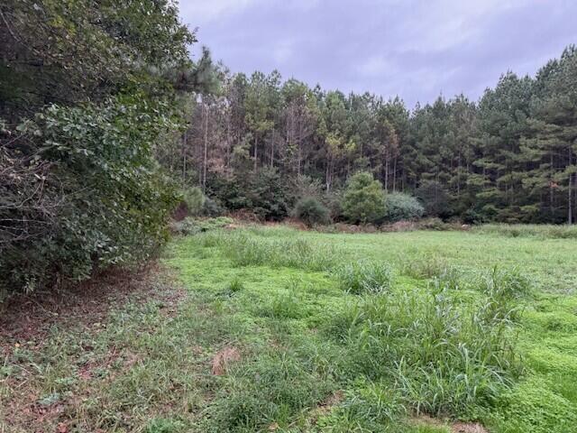 5 Fagin Road, Unit 5 Madisonville, TN 37354 - Photo 16 of 33 16