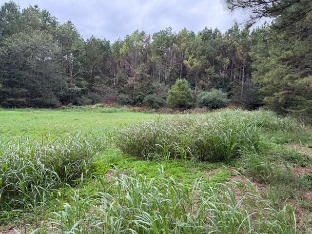 5 Fagin Road, Unit 5 Madisonville, TN 37354 - Photo 18 of 33 18