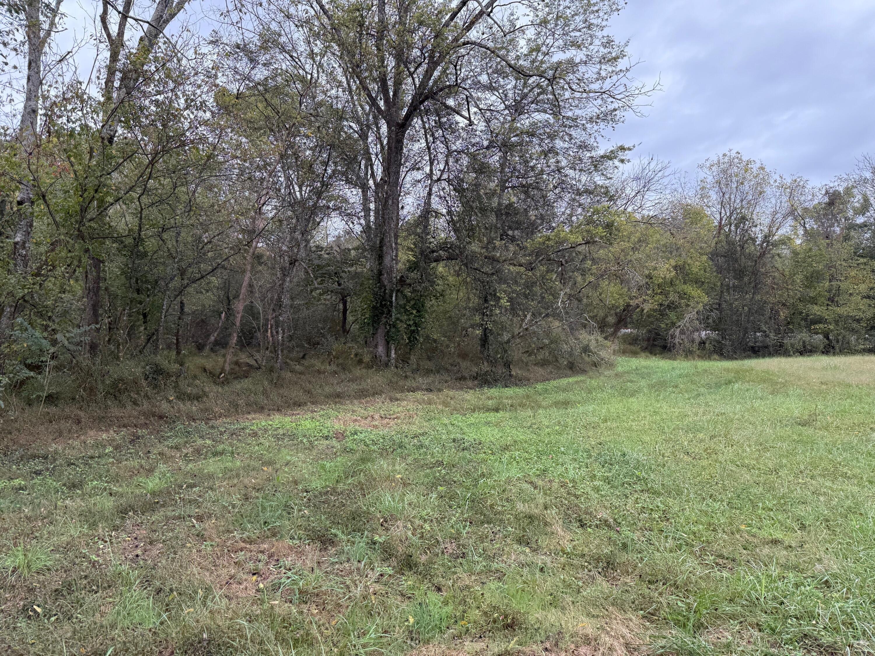 5 Fagin Road, Unit 5 Madisonville, TN 37354 - Photo 7 of 33 6