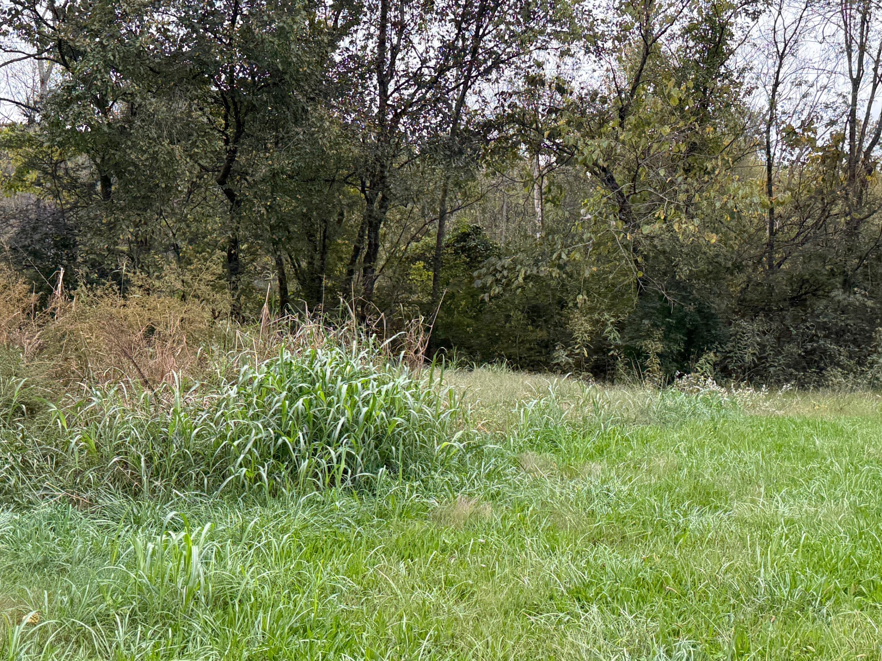 5 Fagin Road, Unit 5 Madisonville, TN 37354 - Photo 8 of 33 8