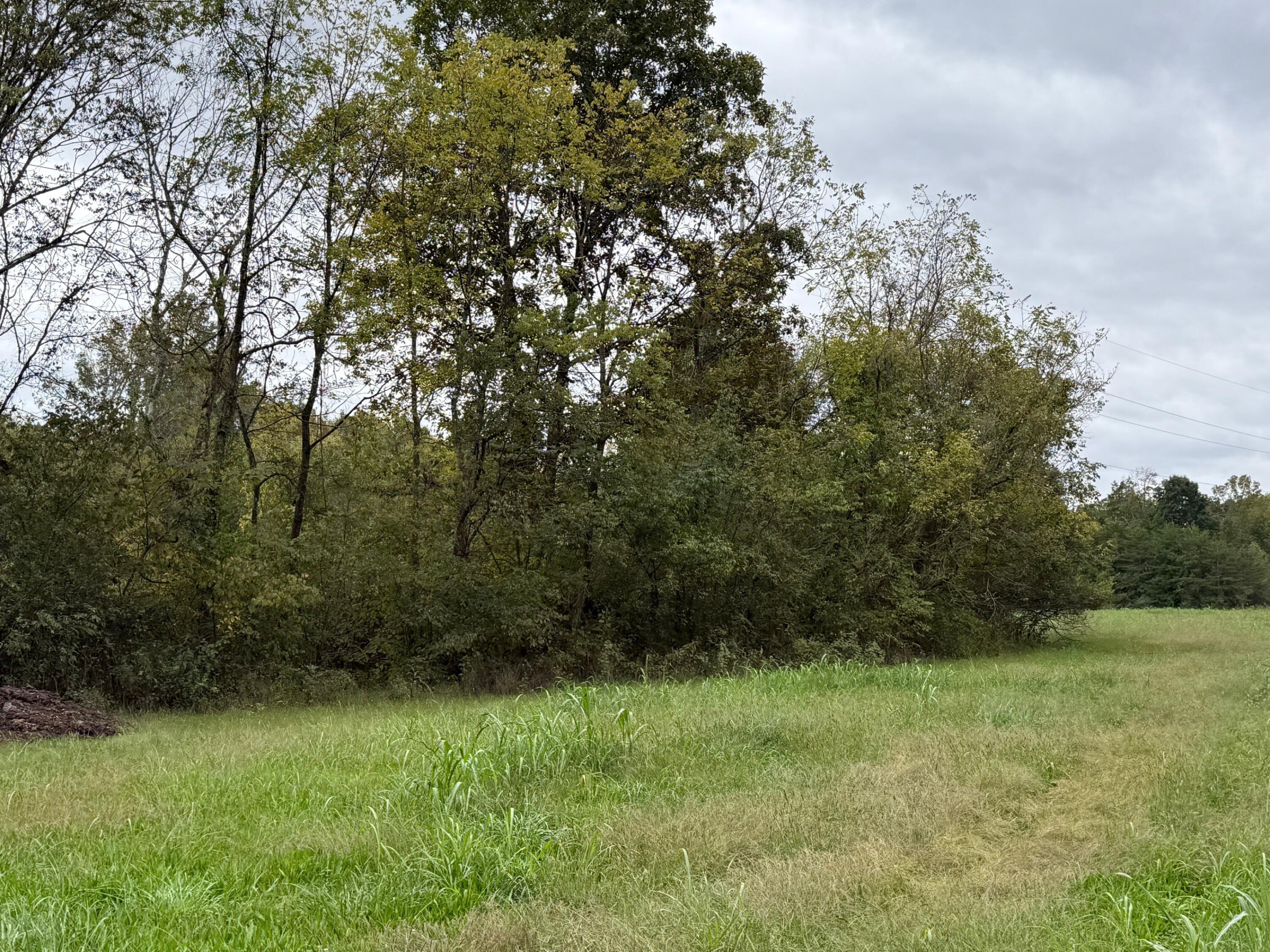 5 Fagin Road, Unit 5 Madisonville, TN 37354 - Photo 9 of 33 9