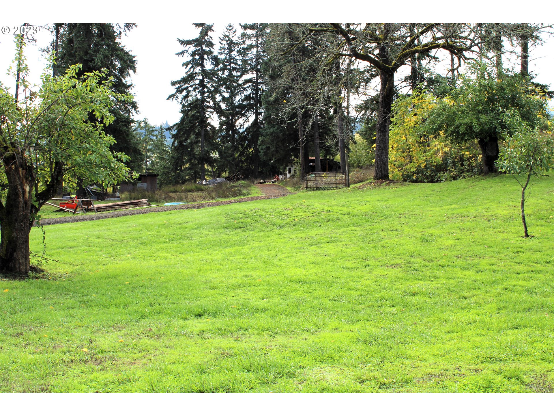 3392 Eagle Valley Road Yoncalla, OR 97499 - Photo 34 of 48 a view of a field with a tree