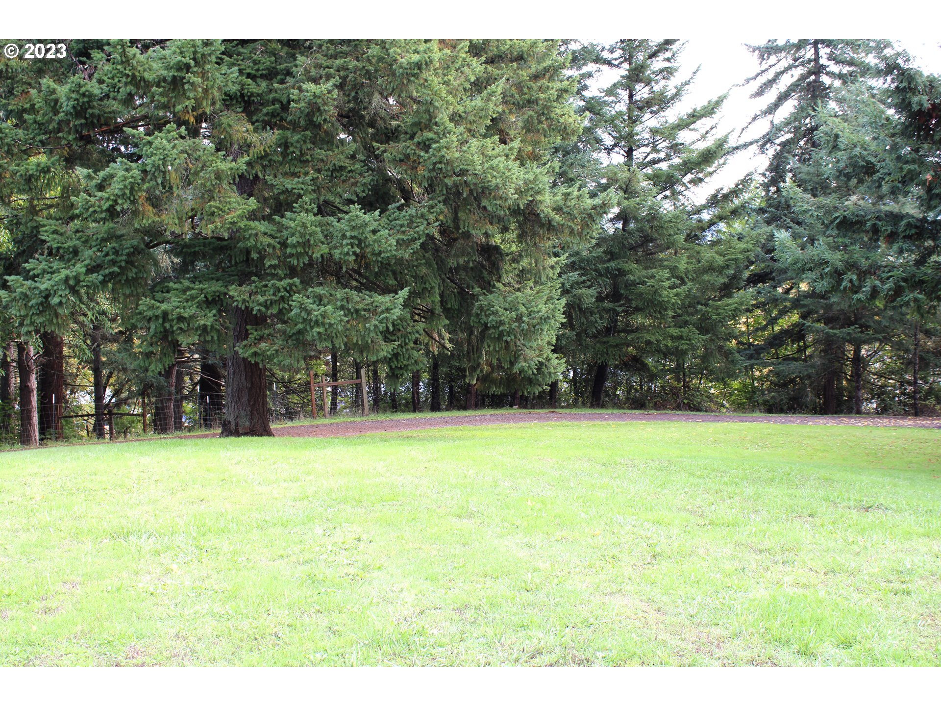 3392 Eagle Valley Road Yoncalla, OR 97499 - Photo 35 of 48 a view of a field with a tree