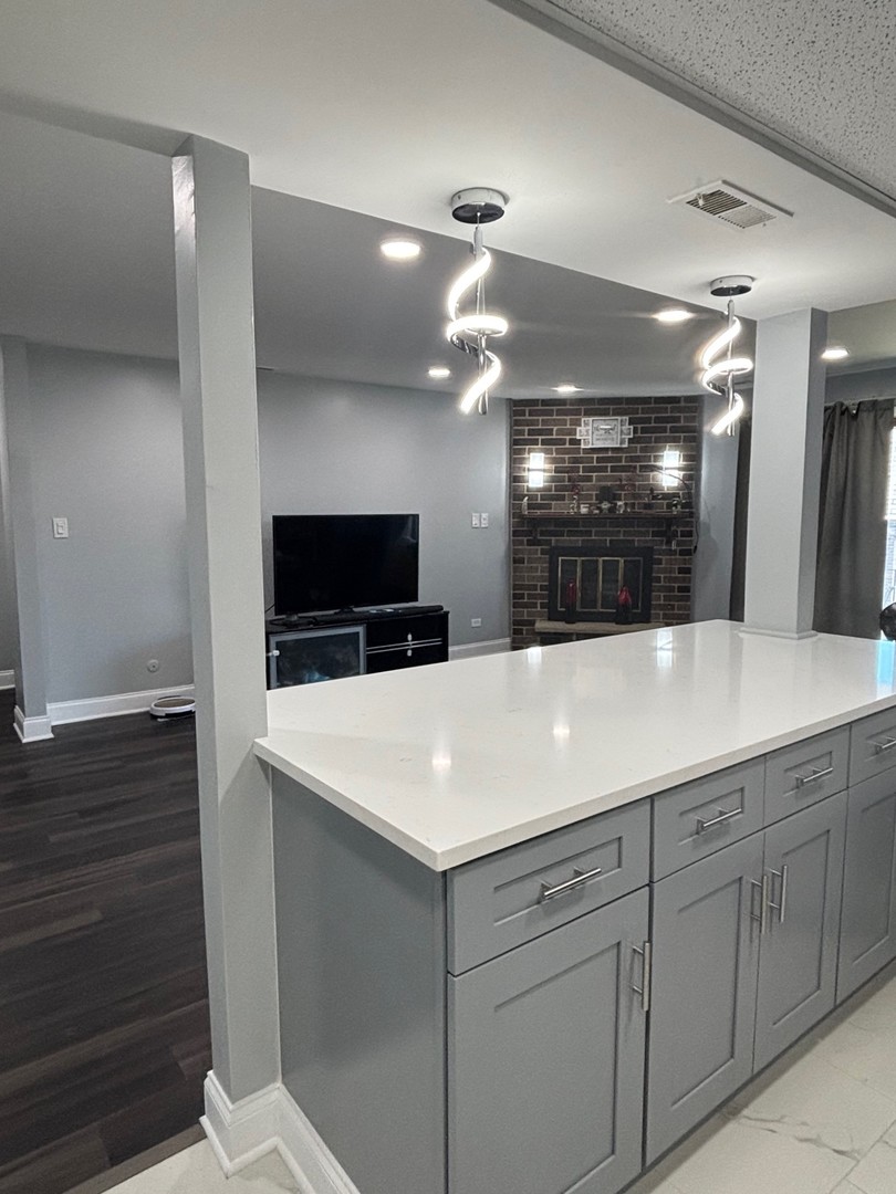 9132 South Pulaski Road, Unit 2E Oak Lawn, IL 60453 - Photo 7 of 22 a view of a counter top space