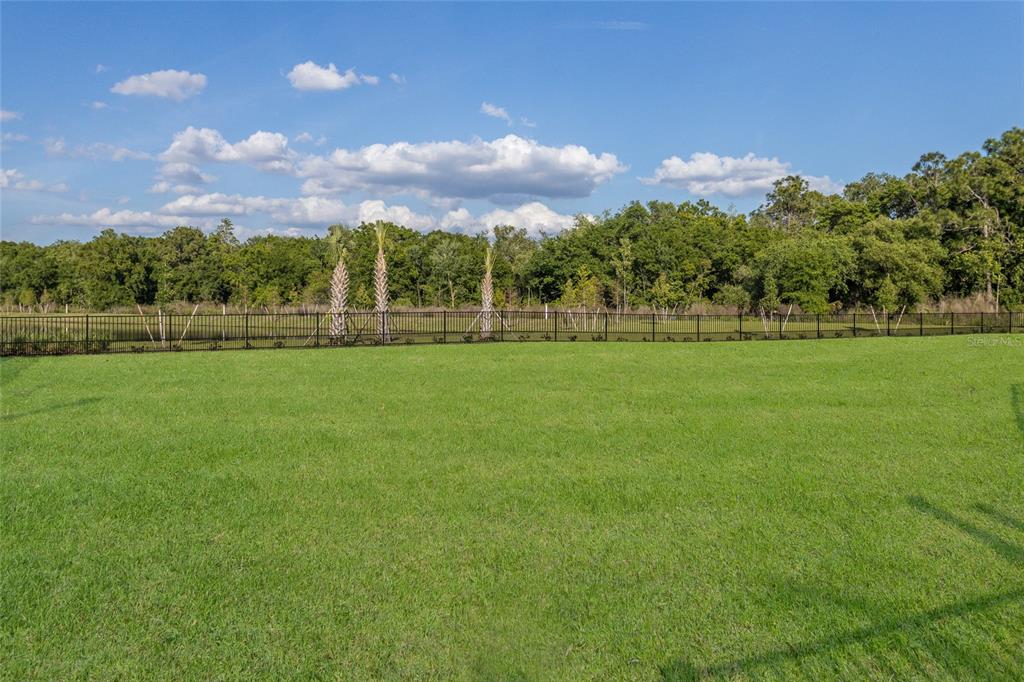 3533 Big Sky Way Lakewood Ranch, FL 34211 - Photo 85 of 85