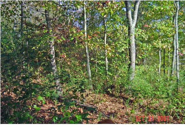 7014 Sims Road Harrison, TN 37341 - Photo 1 of 1 Primary Photo