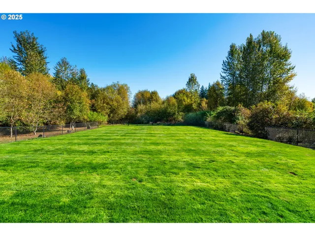 a view of a field with a tree