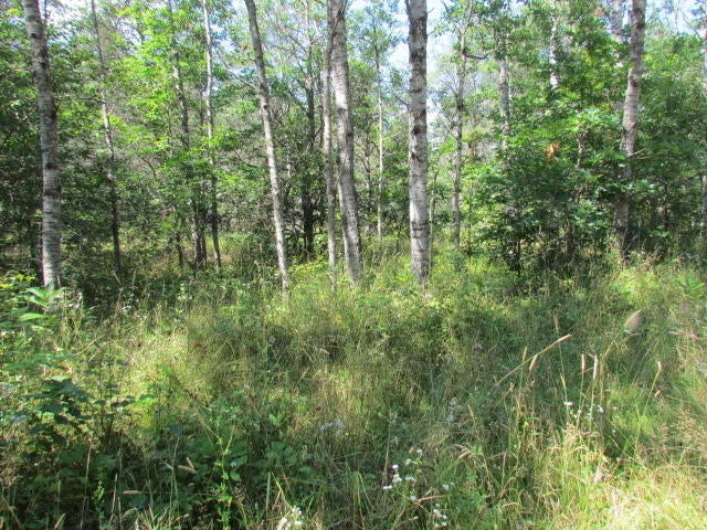 Parcel #6 O'Hara Road Lewiston, MI 49756 - Photo 5 of 9 Gallery Image 5