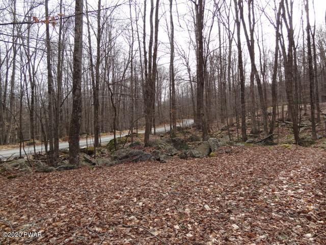 49 Ridge Road Lake Ariel, PA 18436 - Photo 20 of 28 20- Lot
