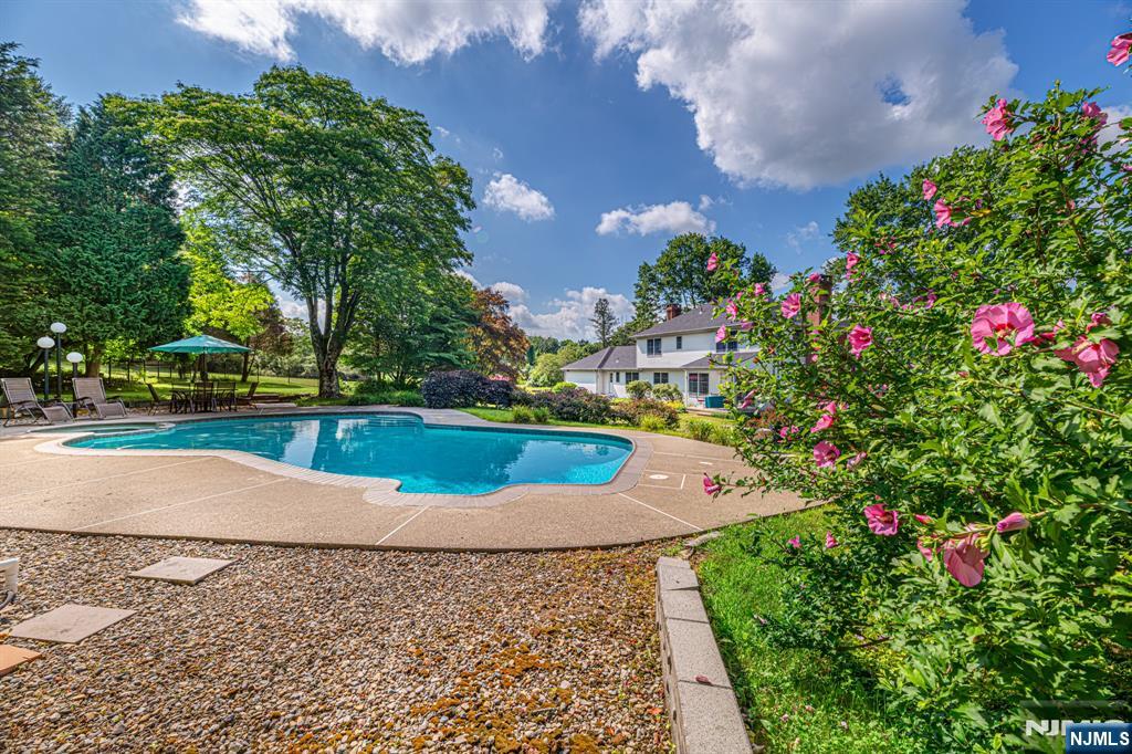 208 Willows Road Newton, NJ 07860 - Photo 36 of 44 a view of a yard with plants