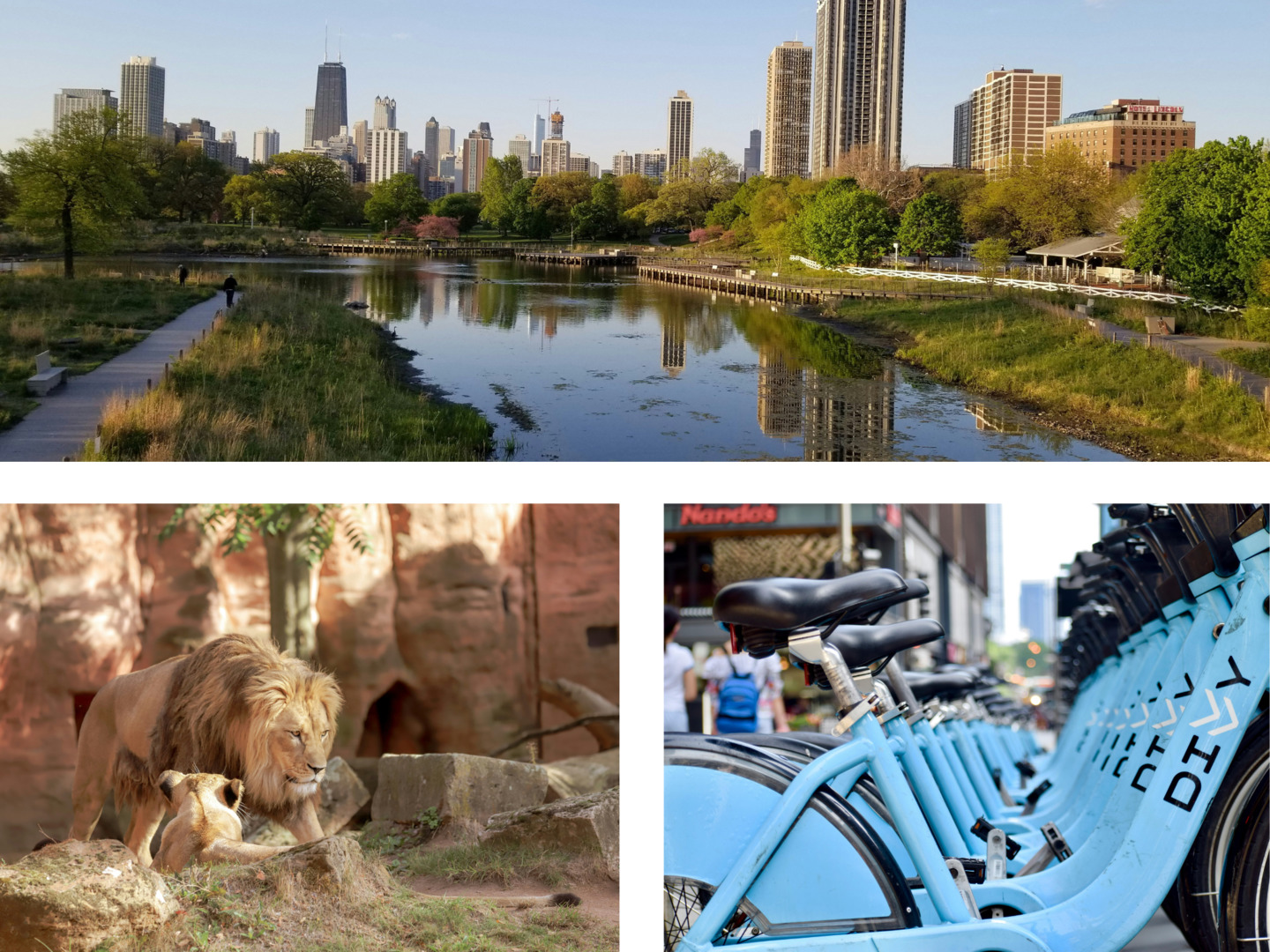 1720 North LaSalle Drive, Unit 1 Chicago, IL 60614 - Photo 23 of 28