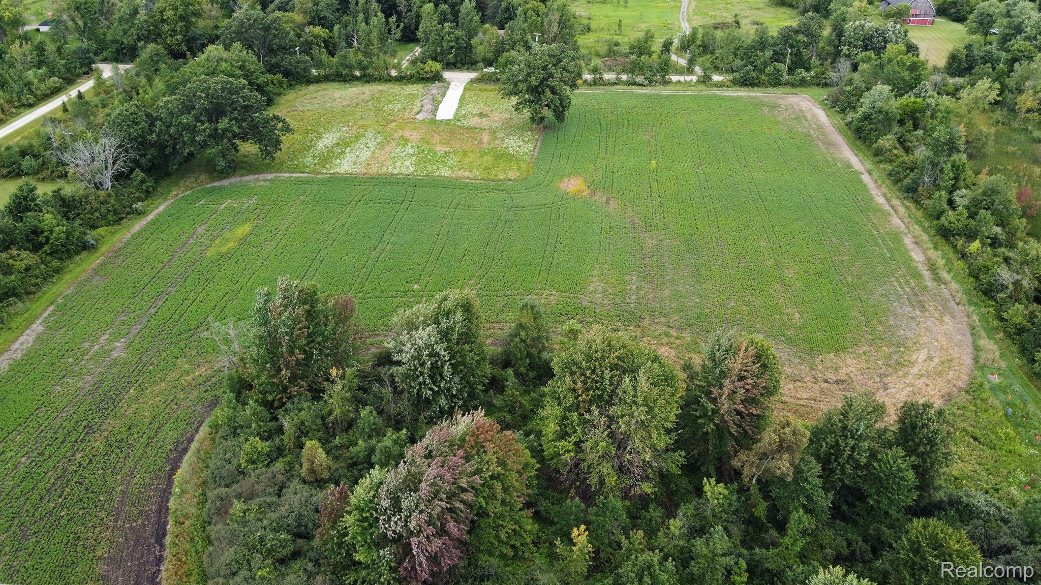 8910 Petz Road Imlay City, MI 48444 - Photo 56 of 62 View toward Petz Rd