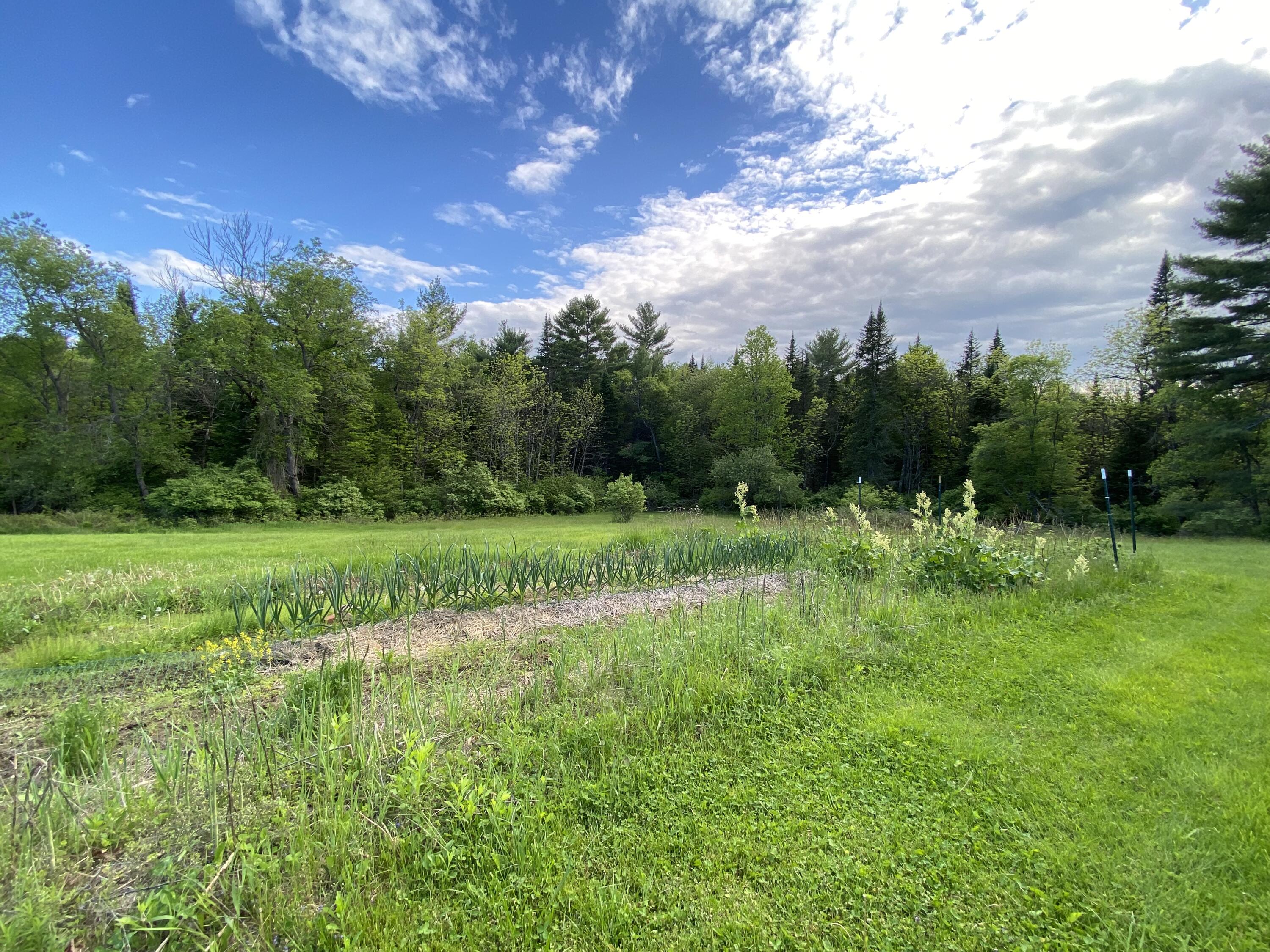 140 Fahi Pond Road Anson, ME 04958 - Photo 40 of 45 IMG_6701
