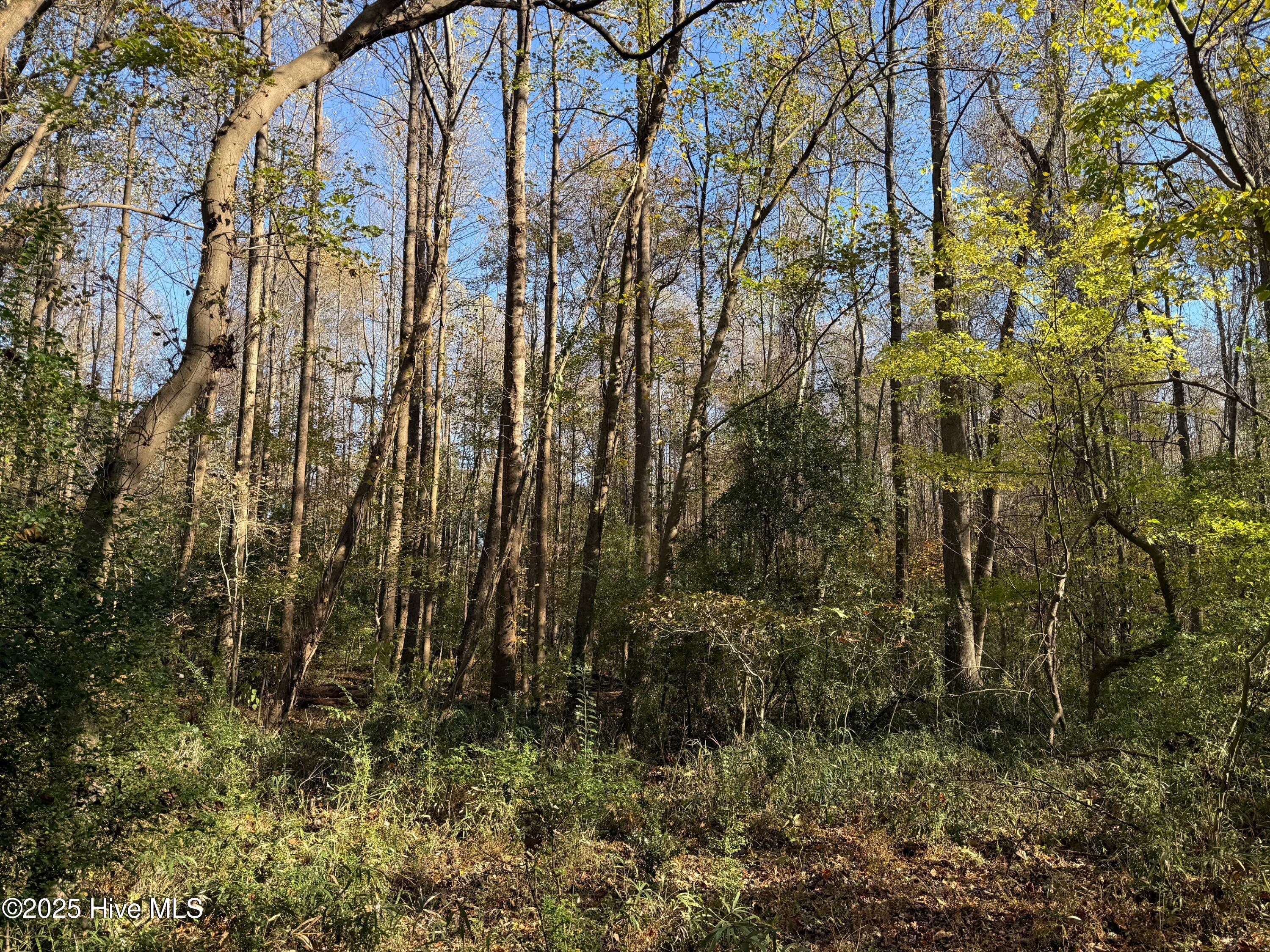 Lot 1 Alton Phillips Road Kinston, NC 28504 - Photo 5 of 6 IMG_0811