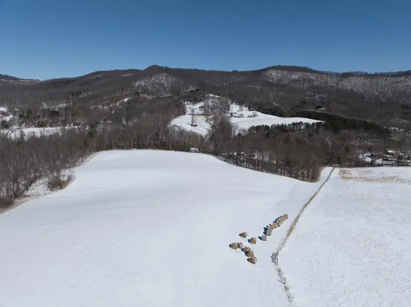 $399,000 | 0 Stevens Chapel Road, Blue Ridge, VA 24064