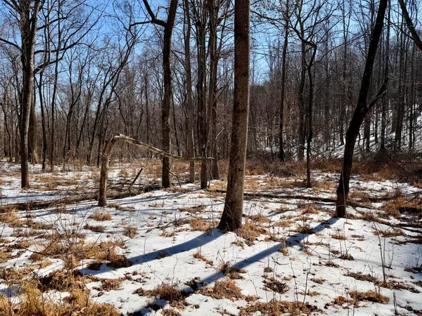 $399,000 | 0 Stevens Chapel Road, Blue Ridge, VA 24064