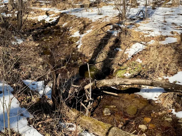 $399,000 | 0 Stevens Chapel Road, Blue Ridge, VA 24064