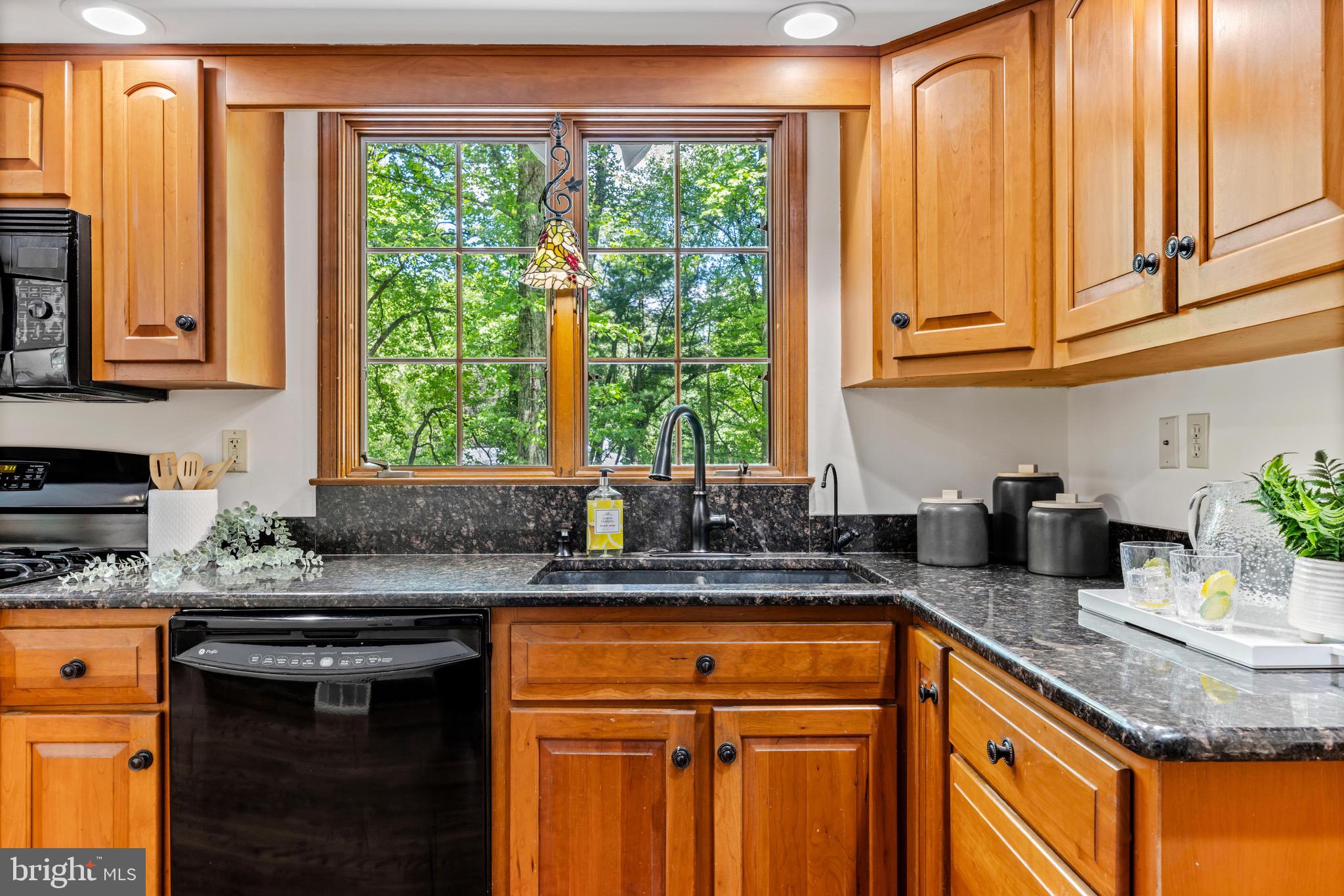 3912 Sweet Air Road Phoenix, MD 21131 - Photo 14 of 46 Watch the birds as you load the dishwasher.