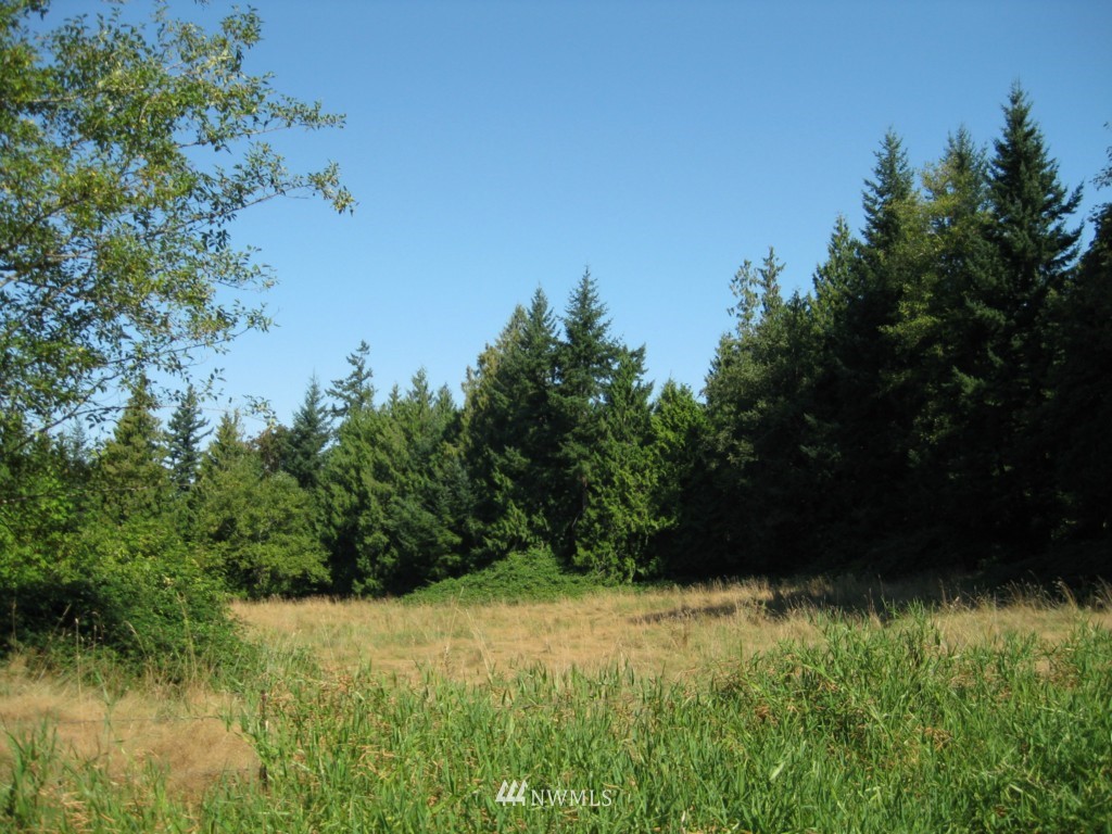0 South Pass Road Everson, WA 98276 - Photo 1 of 1