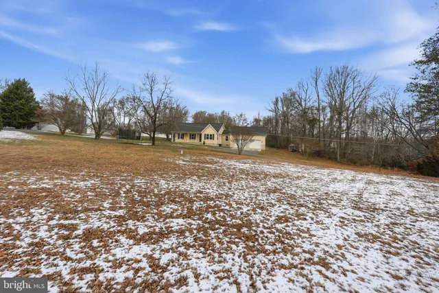 a view of yard with trees