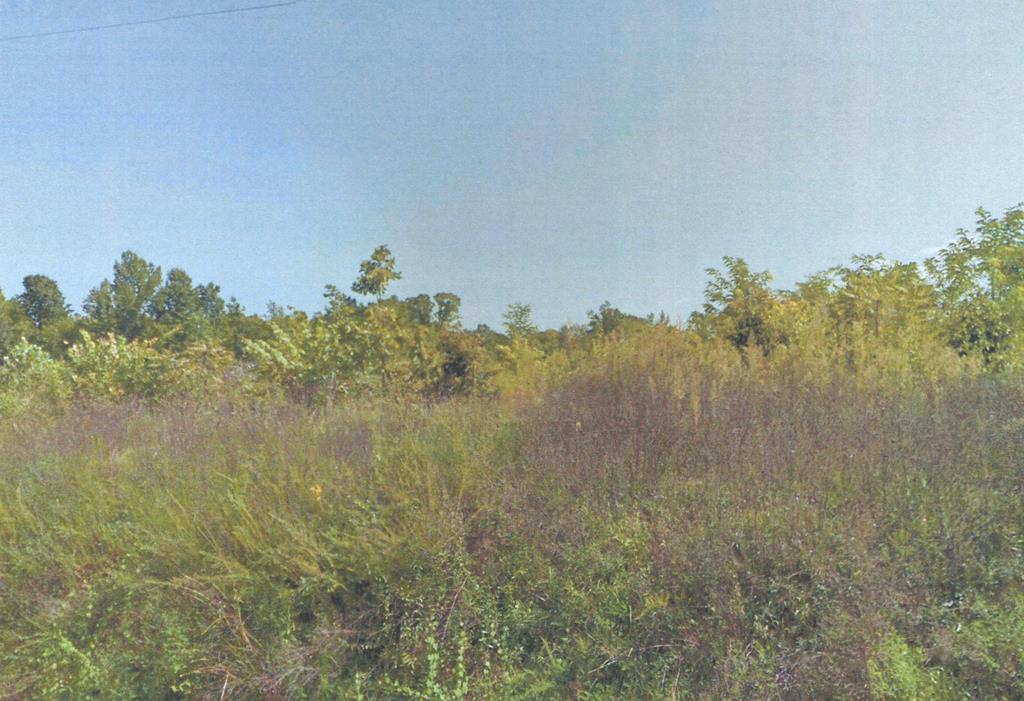 700 Lot 12 Moore Road, Unit 12 Farmville, VA 23901 - Photo 1 of 1 Gallery Image 1