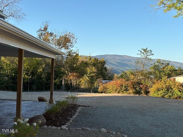 2496 Siam Road Elizabethton, TN 37643 - Photo 11 of 82 10