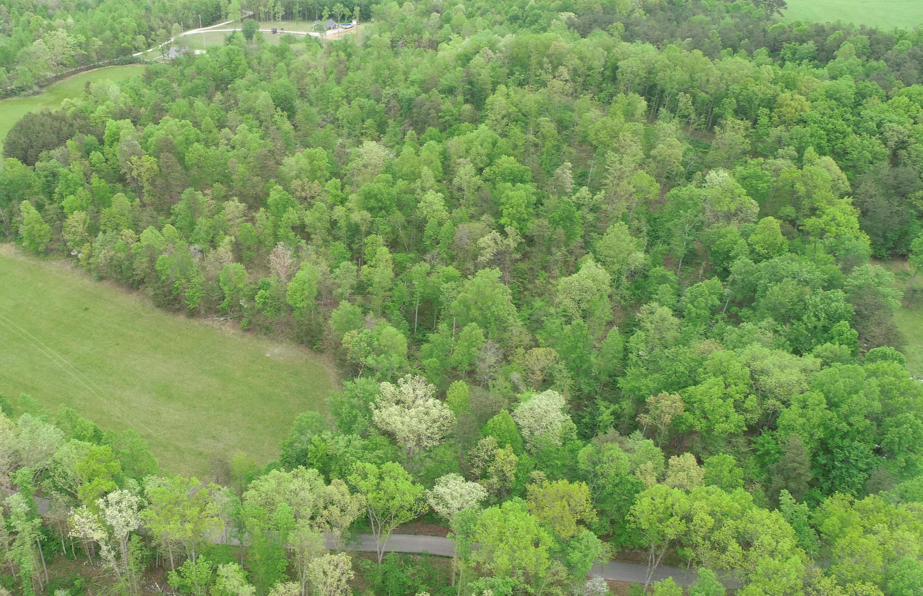 Lot #3 Conway Road McKee, KY 40447 - Photo 7 of 9 DJI_0928 copy