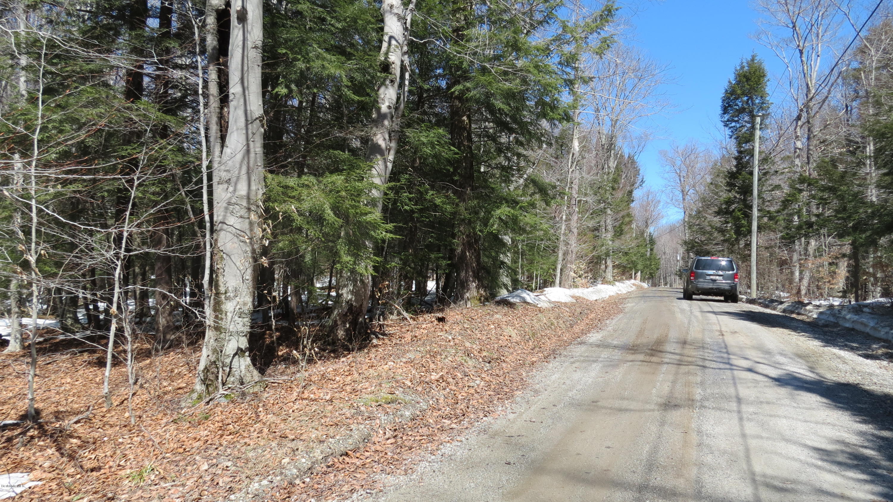Scott Road Savoy, MA 01256 - Photo 1 of 10 a view of a yard with plants and trees