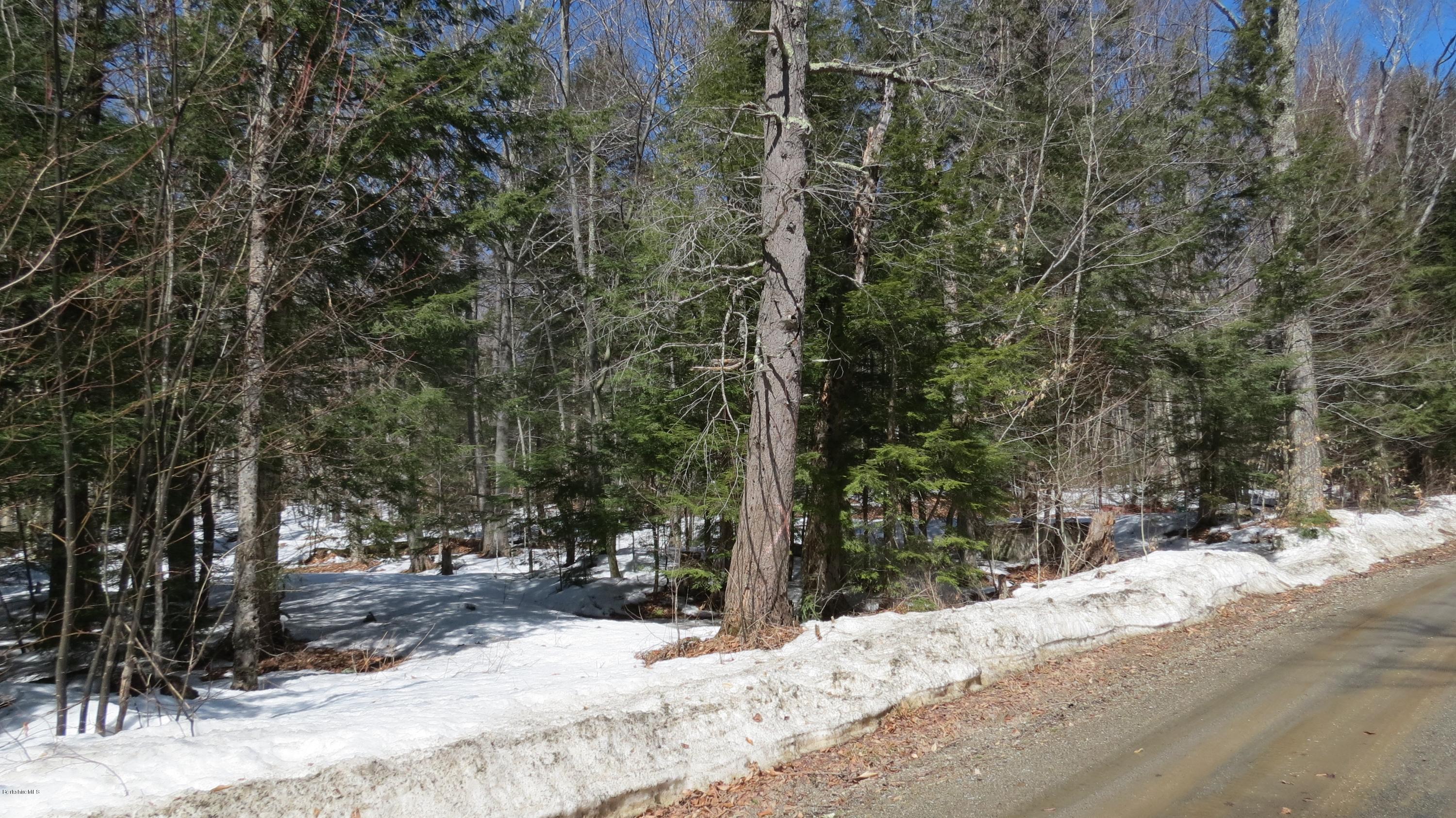 Scott Road Savoy, MA 01256 - Photo 2 of 10 a view of a yard covered with snow in the background