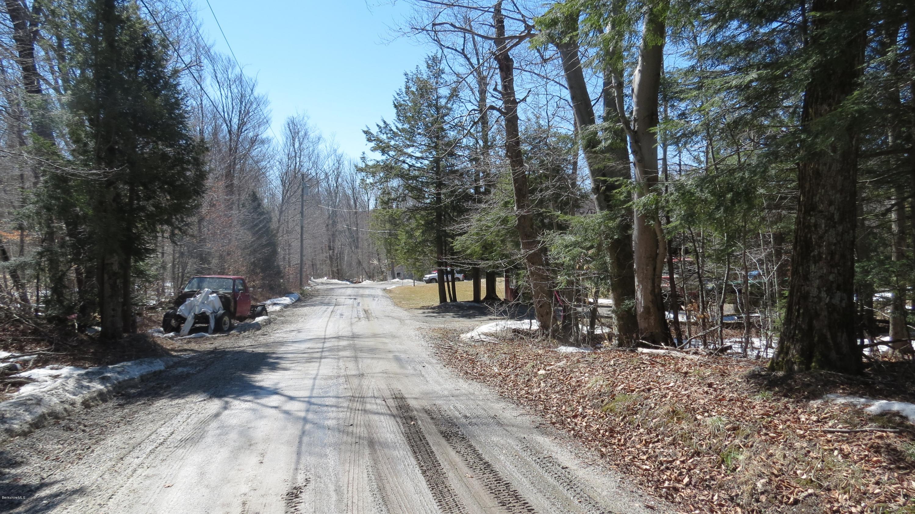 Scott Road Savoy, MA 01256 - Photo 3 of 10 a view of outdoor space with trees