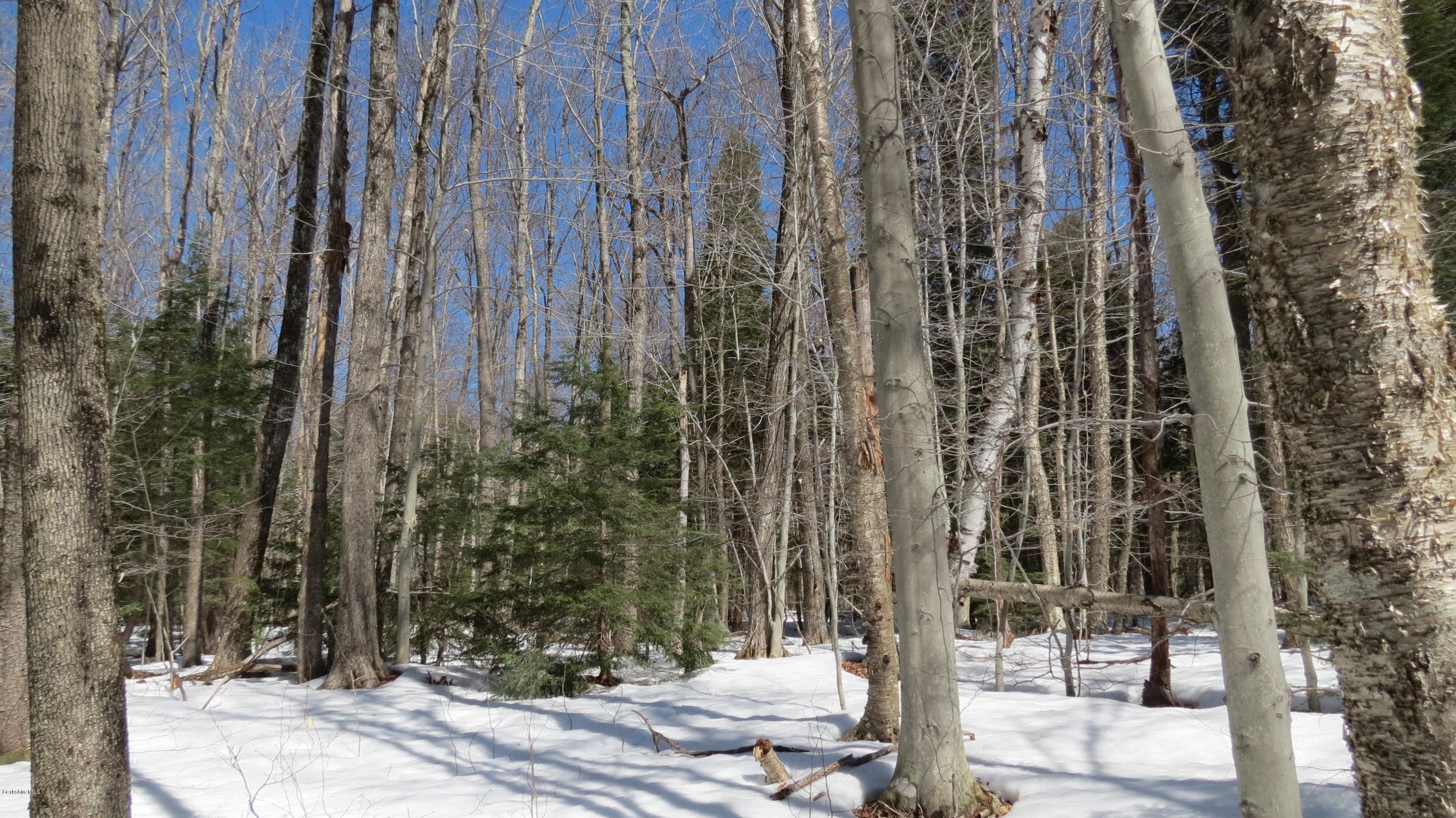 Scott Road Savoy, MA 01256 - Photo 7 of 10