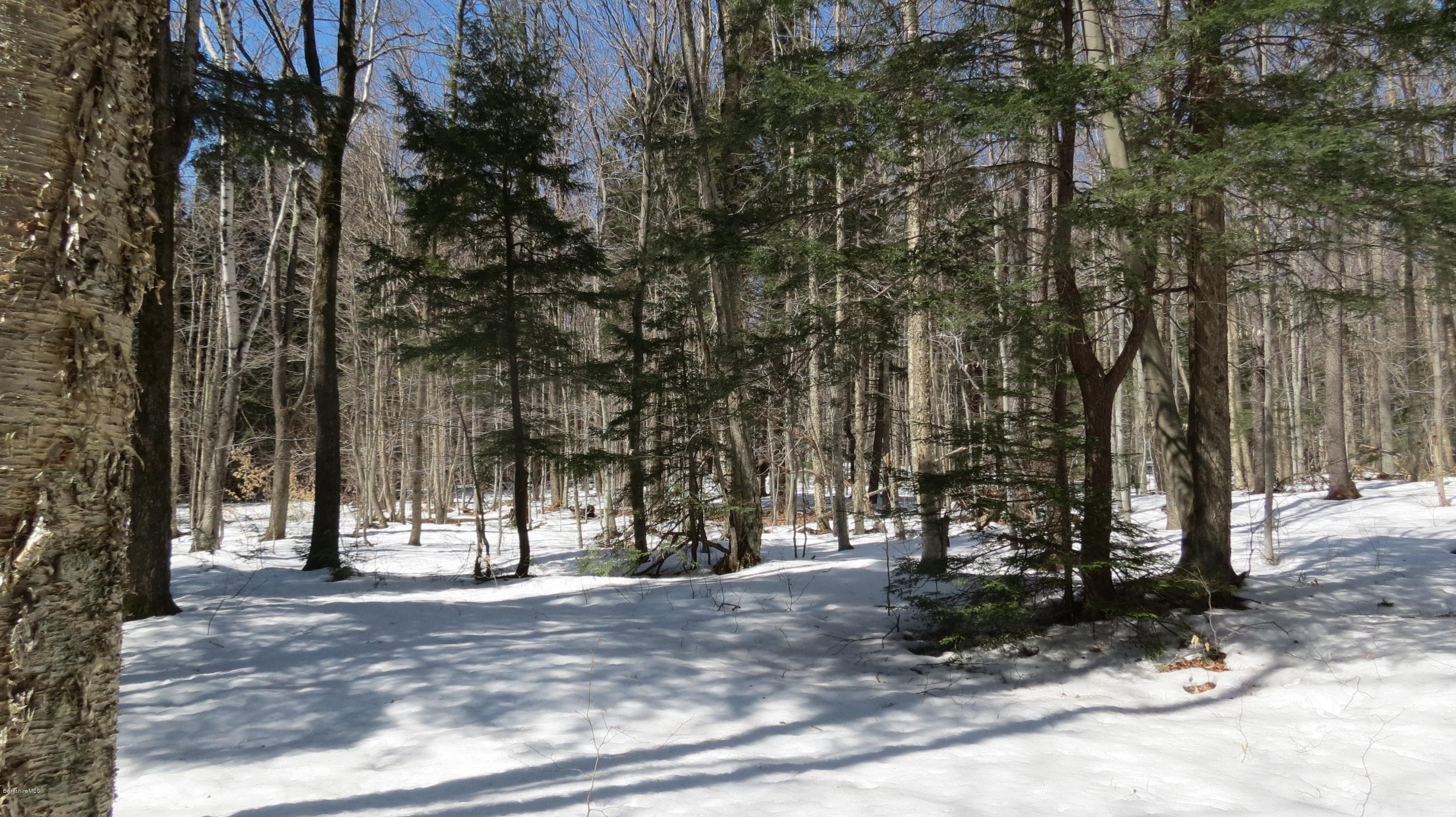 Scott Road Savoy, MA 01256 - Photo 9 of 10 a view of street and trees