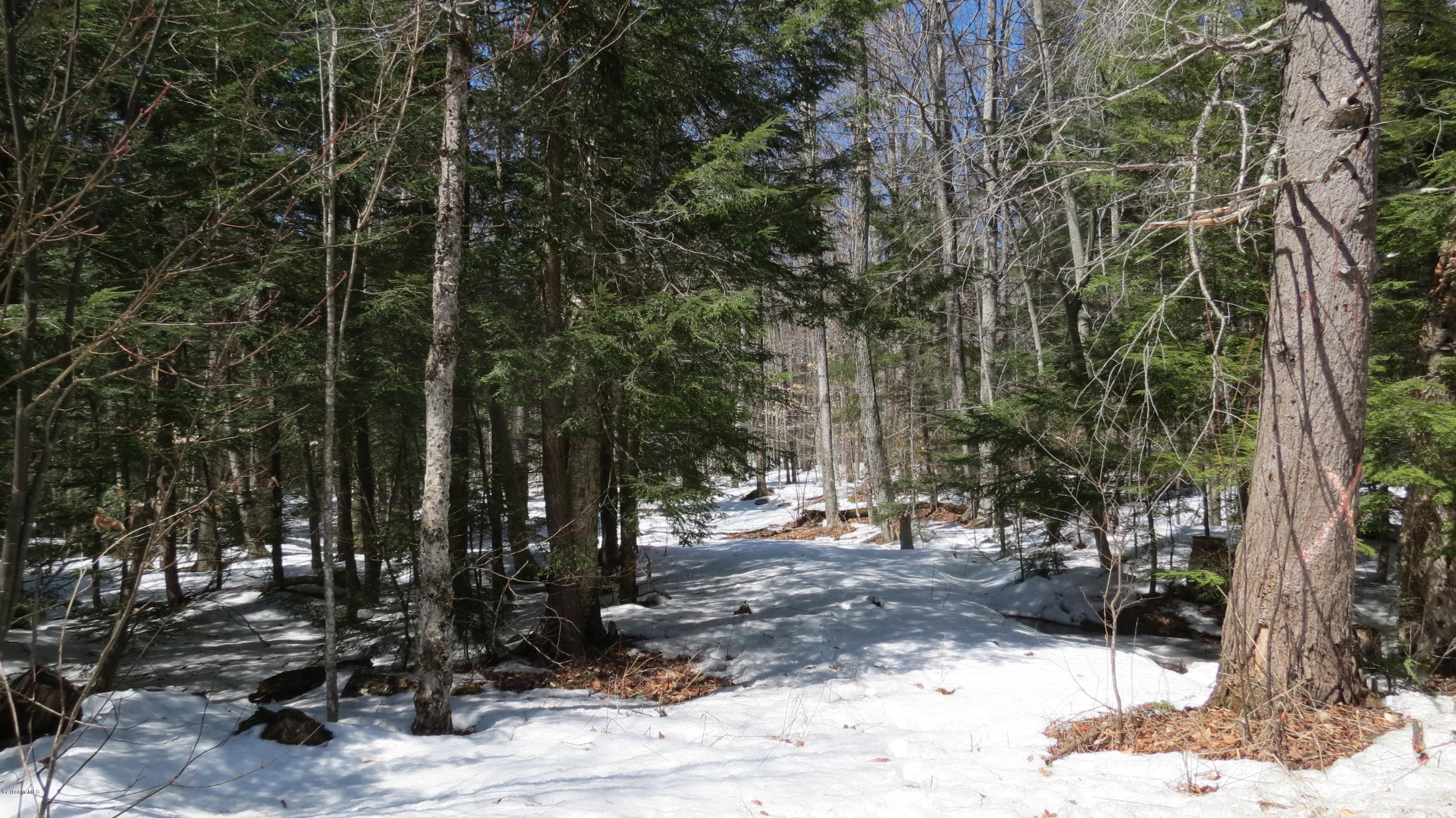 Scott Road Savoy, MA 01256 - Photo 10 of 10 a view of outdoor space with trees