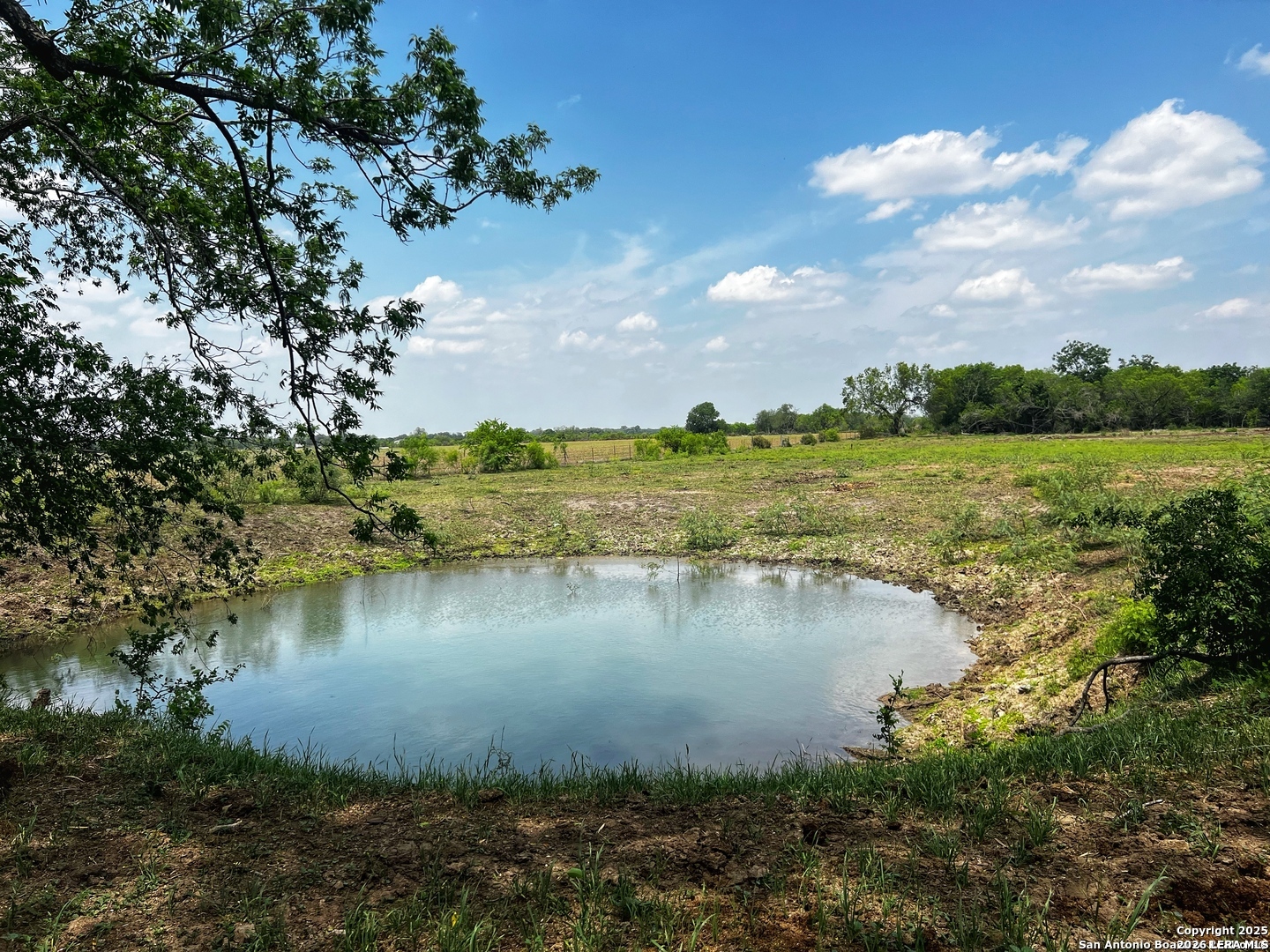 304 County Road 6611 Devine, TX 78016 - Photo 13 of 16