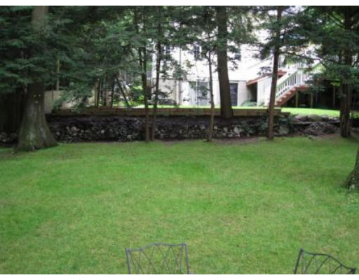 156 Thornton Road Needham, MA 02492 - Photo 10 of 12 a view of garden with trees