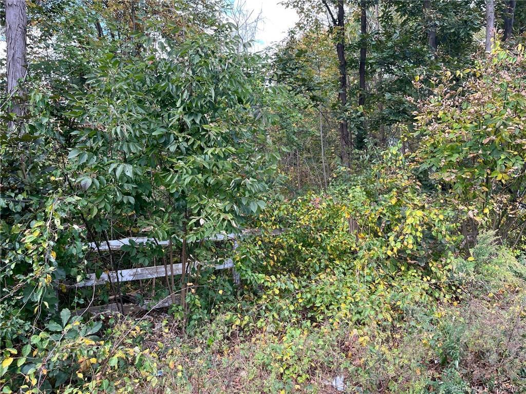 59-3 South Meriden Road Cheshire, CT 06410 - Photo 1 of 1 a view of a forest with a bench