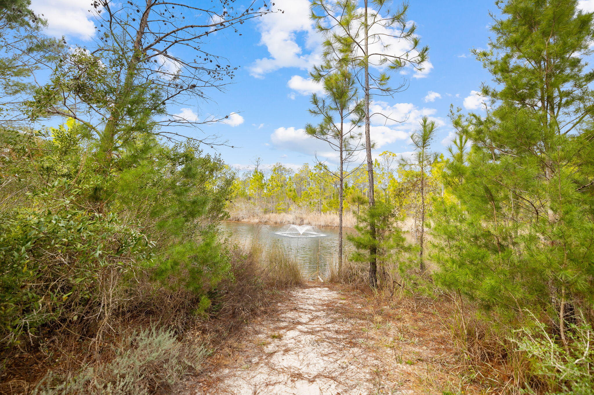 267 Gulfview Circle Santa Rosa Beach, FL 32459 - Photo 46 of 46 a view of a lake view with a big tree