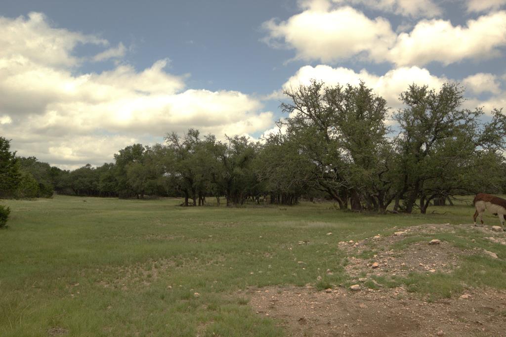 51 Deadend Rd Mountain Junction, TX 76849 - Photo 17 of 19 Gallery Image 17
