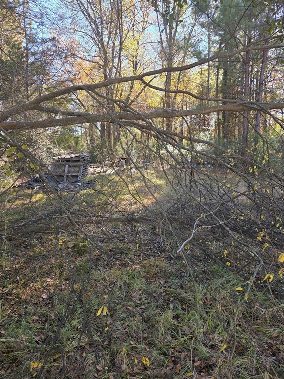 908 Burns Street Kilgore, TX 75662 - Photo 3 of 20 a view of a yard with a tree