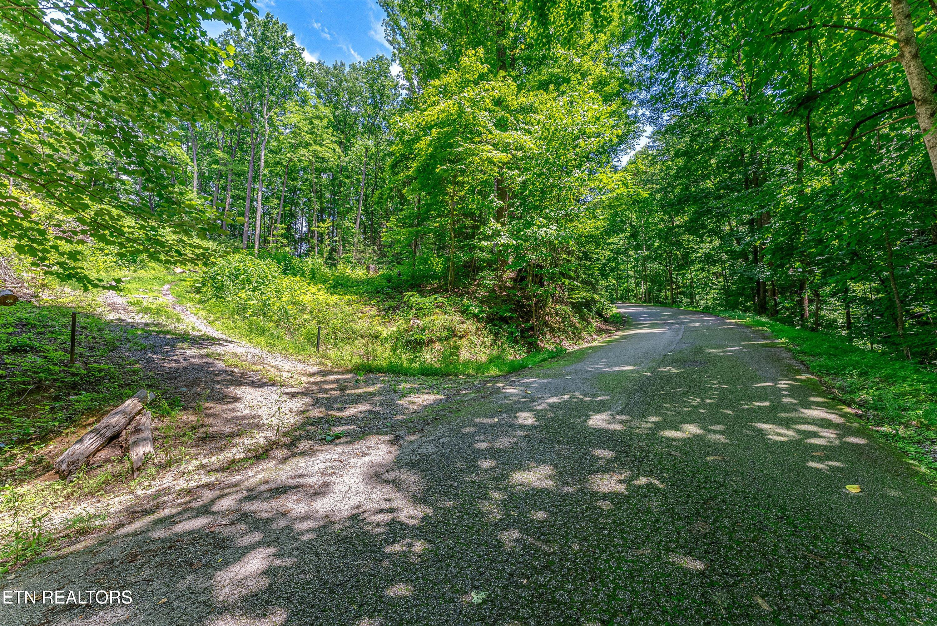 229 Sonshine Ridge Road Cosby, TN 37722 - Photo 2 of 22 25-Entrance A1