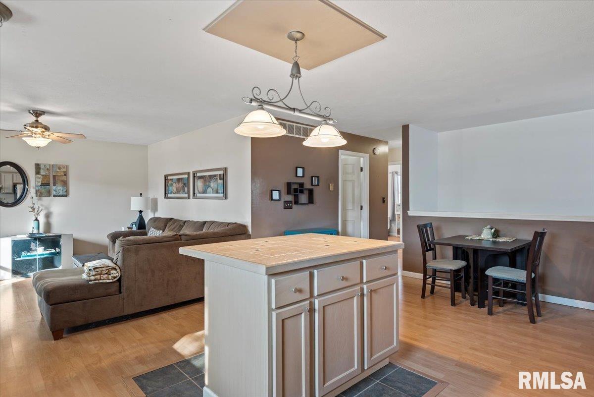 4117 Marie Drive Springfield, IL 62707 - Photo 12 of 30