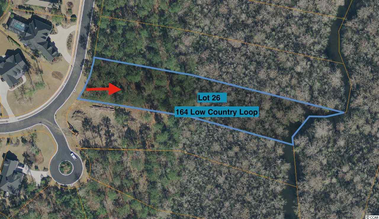 164 Low Country Loop Murrells Inlet, SC 29576 - Photo 1 of 9