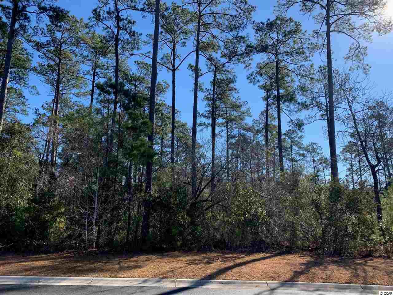 164 Low Country Loop Murrells Inlet, SC 29576 - Photo 2 of 9