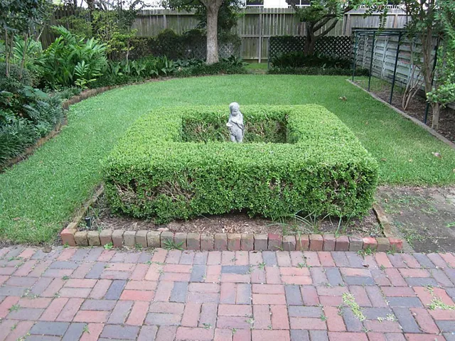 a view of a back yard