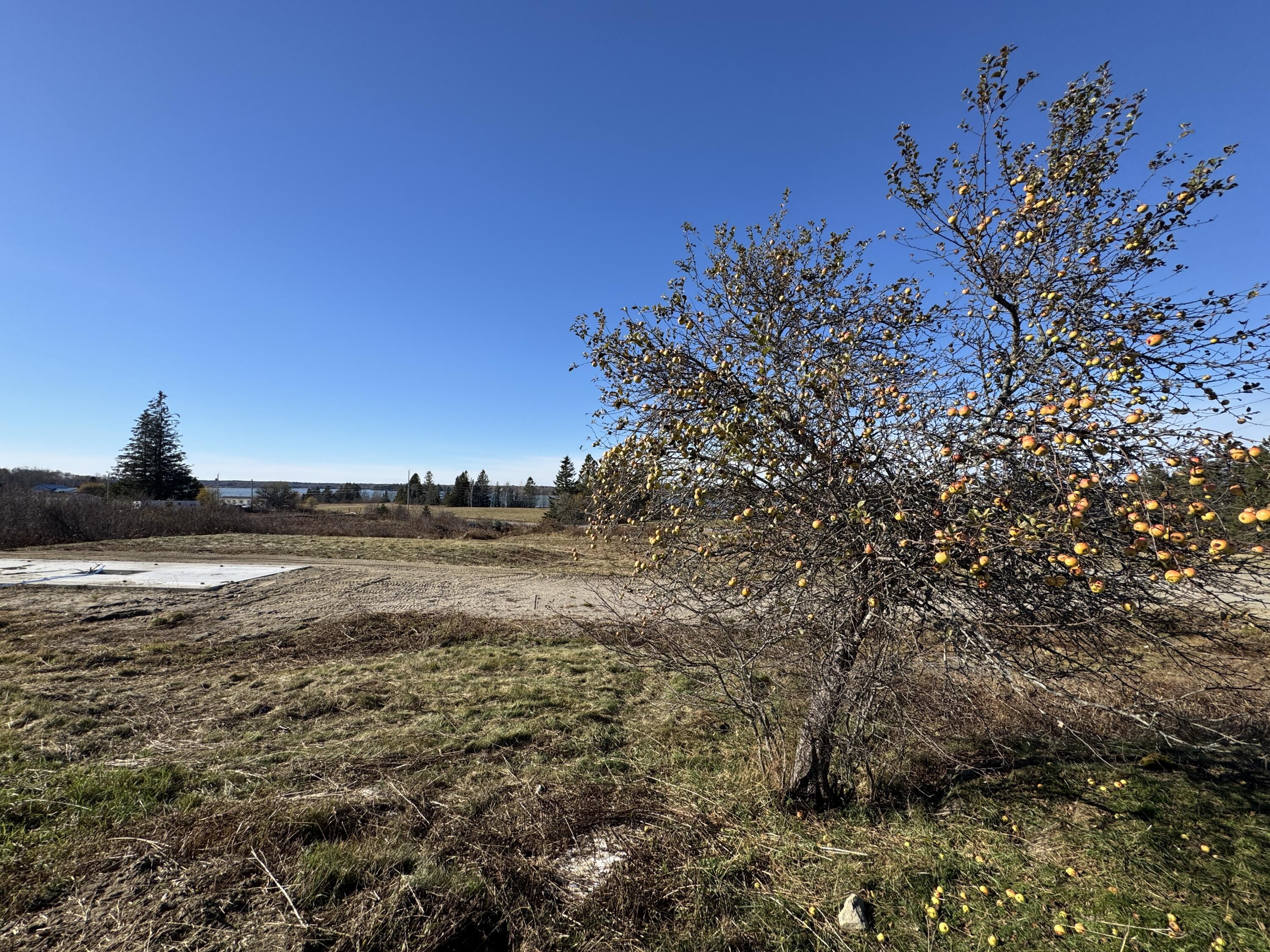 16-18 Nelson Way Addison, ME 04606 - Photo 8 of 40 IMG_3069