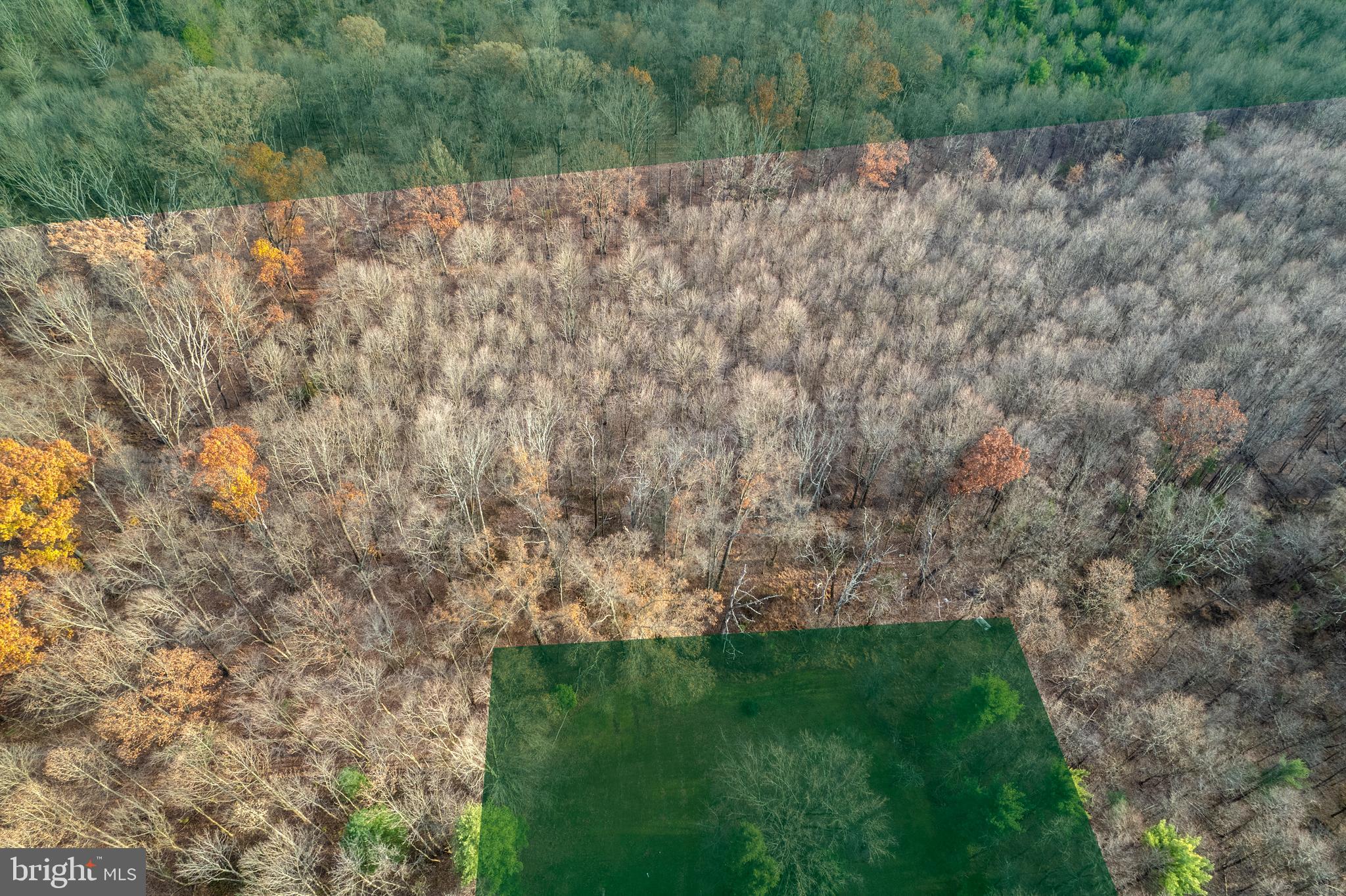 Buck Road Pennsburg, PA 18073 - Photo 4 of 10